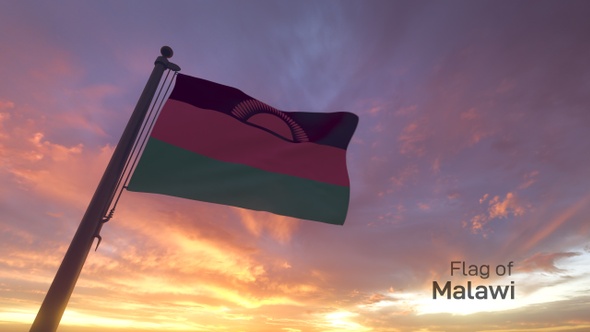 Malawi Flag on a Flagpole V3