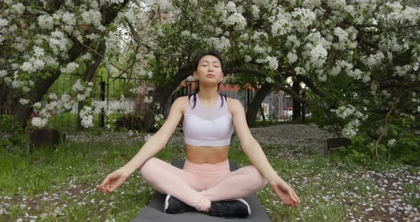 Woman Doing Yoga Pose on the Background of a Blooming Apple Tree