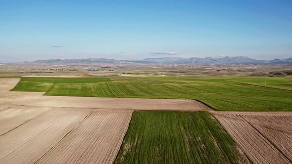 Agricultural Field Aerial View