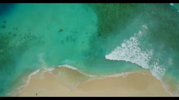Aerial drone abstract of beautiful coast beach wildlife by turquoise lagoon and white sandy backgrou