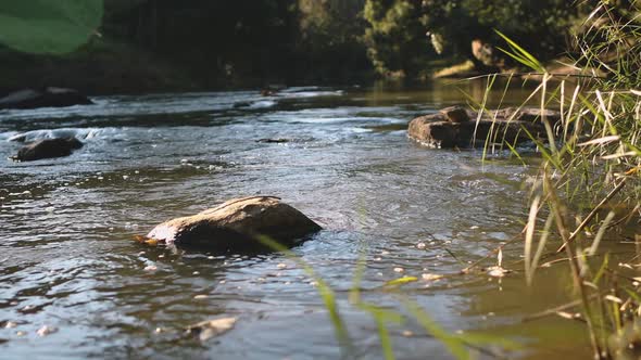 Closeup River Water Flow Stone Bubbles on Surface at Soft Sunlight