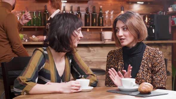 Beautiful Young Women Gossip in a Coffee Shop