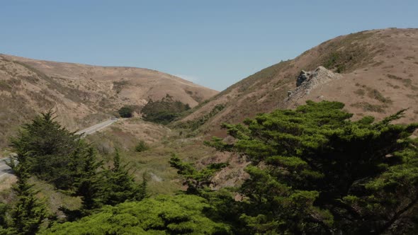 Drone shot rising over trees revealing highway 1 going to the coast Northern California