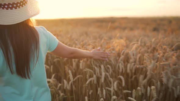 Woman in a Hat and a Blue Dress Walks Along a Wheat Field and Touches Ripe Spikelets of Wheat