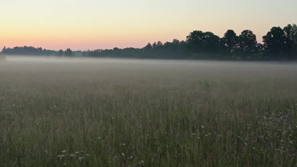 Flight Above Meadow