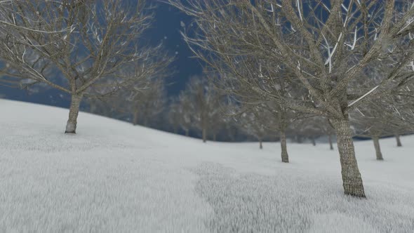Winter And Spring Landscape With Blue Sky