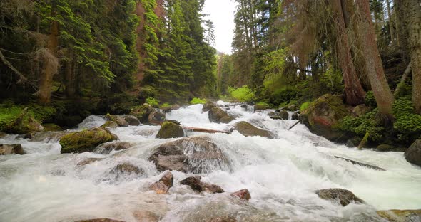 Mountain River in the Wood in Slow Motion