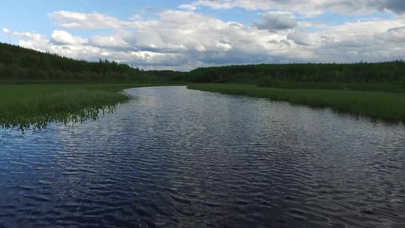 Lake with vegetation