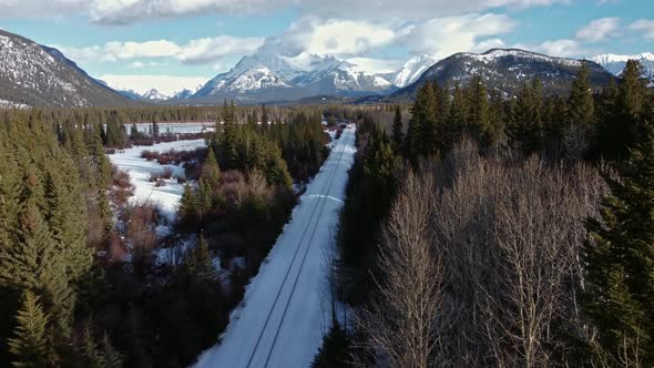 Train in mountain forest approaching descending