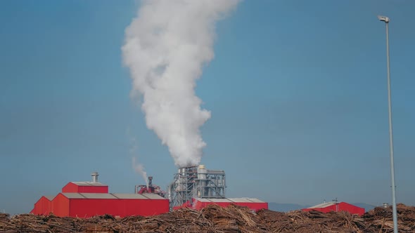 Wood processing plant pollutes the air with smoke coming from the pipe.