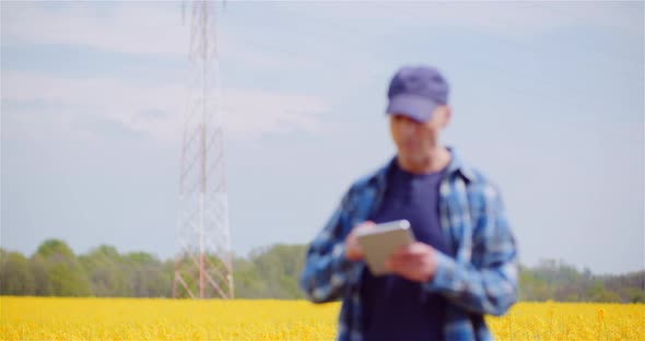 Farmer Checking Crops of Rapeseed Field with Digital Tablet Against Beautiful Yellow Rapeseed Field