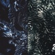 Dark Metal Wavy Abstract Backgrounds - VideoHive Item for Sale