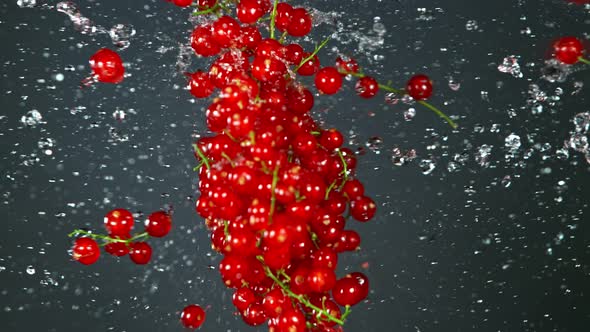 Super Slow Motion Shot of Red Currants and Water Side Collision on Grey Background