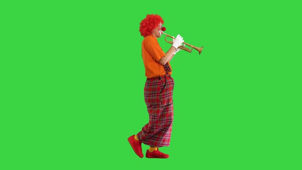 Walking Clown Playing the Trumpet on a Green Screen Chroma Key