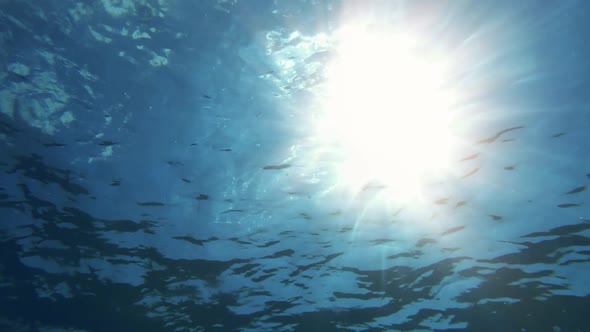 Bright Beams of Sunlight Underwater Refracting through the Surface of Clear Sea
