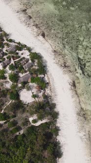 Tanzania  Vertical Video of Low Tide in the Ocean Near the Coast of Zanzibar Slow Motion