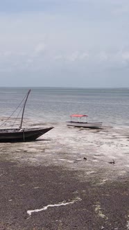 Tanzania  Vertical Video of Low Tide in the Ocean Near the Coast of Zanzibar Slow Motion