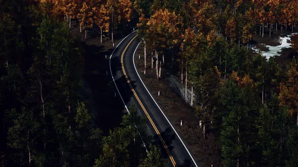 Aerial Over a Winding Forest Road in Finland During Sunset