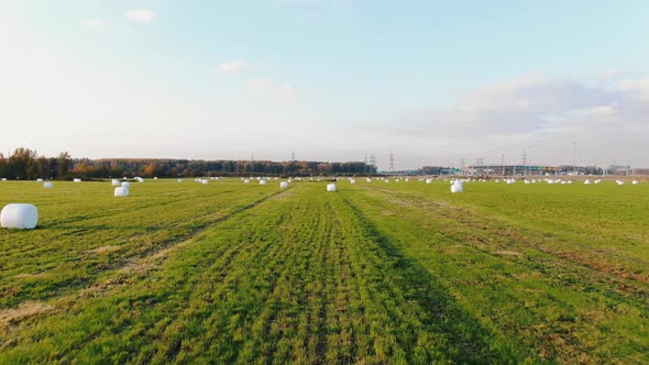 Plastic Wrapped Hay Bales Scattered Around Harvested Field