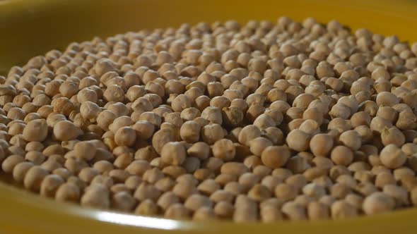 A Large Yellow Plate Filled with Chickpeas Rotates Slowly. The Chickpea Grain Is Evenly Lit and