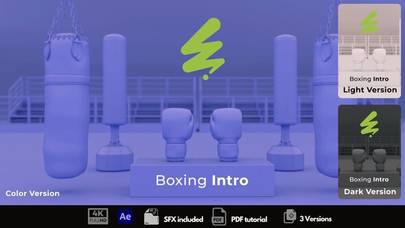 Boxing Intro