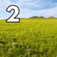Wind in Grasslands Field Forest Ambience 2