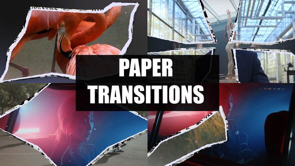 Paper Transitions