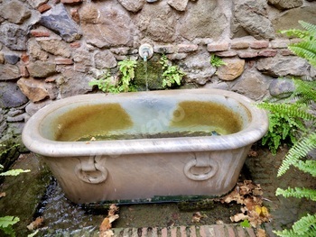 Water fountain bathtub