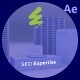 SEO Experts Intro - VideoHive Item for Sale
