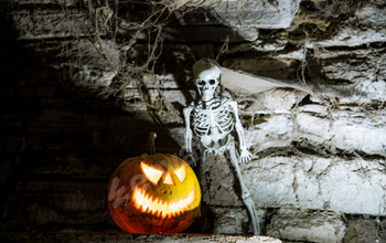 scary Halloween background with Jack'o'lanterns and skeleton