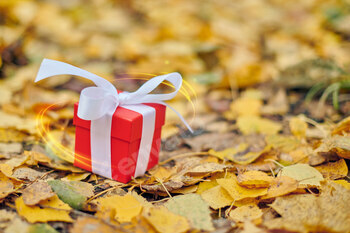 Autumn gift box