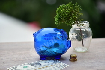 Piggy bank with money on wooden background. Saving money concept