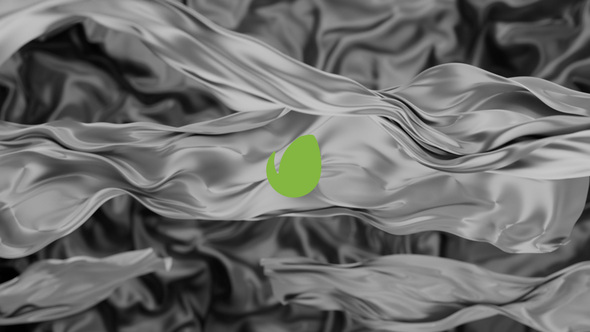 Cloth Logo Reveal alt