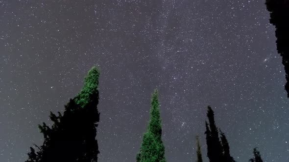 Timelapse of cypresses with stars