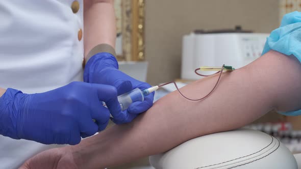 Blood Sample is Taken From Vein By Nurse