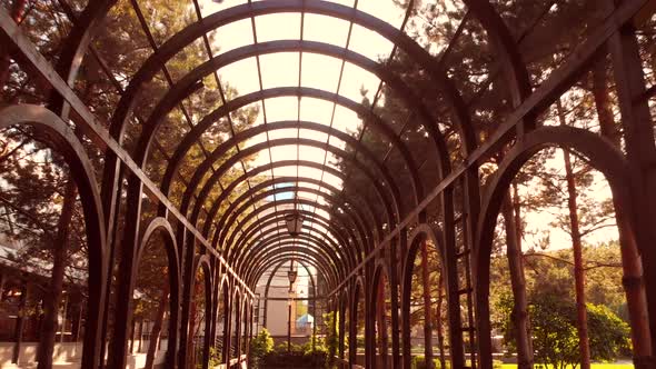 Moving Backward in a Wooden Arch Tunnel