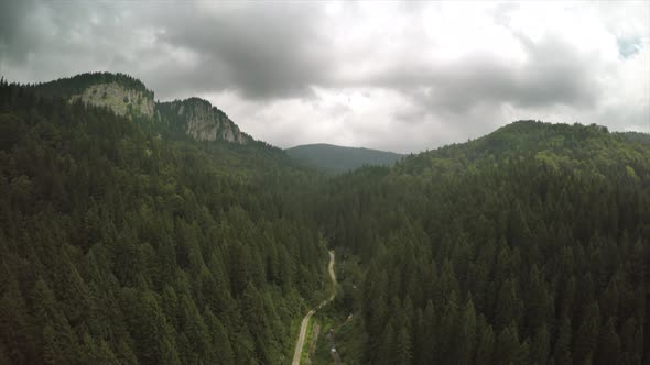 Way Through Forested Mountains