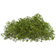 Game Ready Plant Bush 08 - 3DOcean Item for Sale