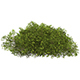 Game Ready Plant Bush 09 - 3DOcean Item for Sale