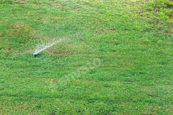 Sprinkler in garden watering the lawn. Automatic watering lawns concept