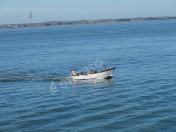 Fishing boat in sea