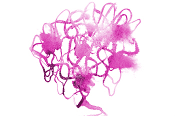 Background image from abstract watercolor stains, forming a form of purple color