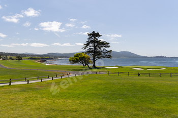 Golf Course on California Beach