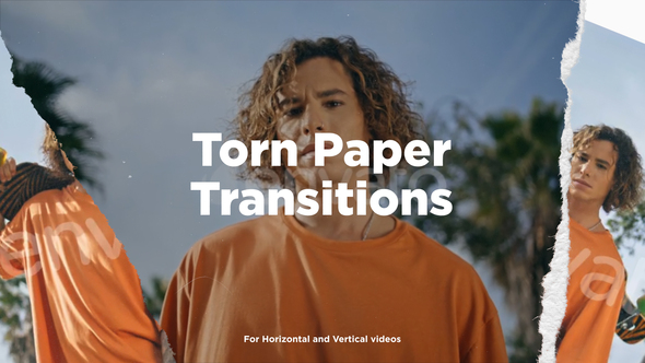 Torn Paper Transitions