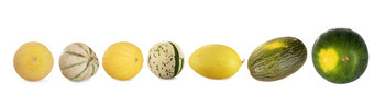 varieties of melon in studio