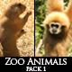 Zoo Animals Pack 1 - VideoHive Item for Sale