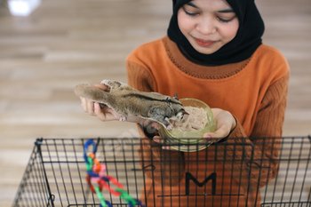 Woman Feeding Her Pet