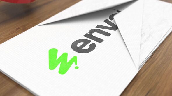 Origami Plane Logo Reveal alt