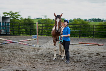 You need to create trust with your horse