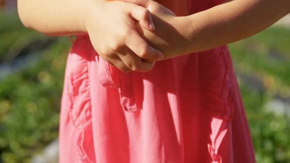 Girl holding bucket full of strawberries in the farm 4k